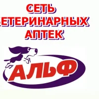 Зоомагазин и ветеринарная аптека Альф на улице Попова на проекте VetSpravka.ru Зоомагазин и ветеринарная аптека Альф на улице Попова на проекте VetSpravka.ru