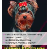 Парикмахерская для кошек и собак Лака-Лака  на проекте VetSpravka.ru