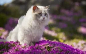 ВетЭксперт Фото 2 на проекте VetSpravka.ru